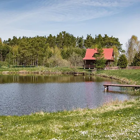 Letnisko - Michał *